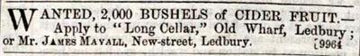 Long cellar advert
