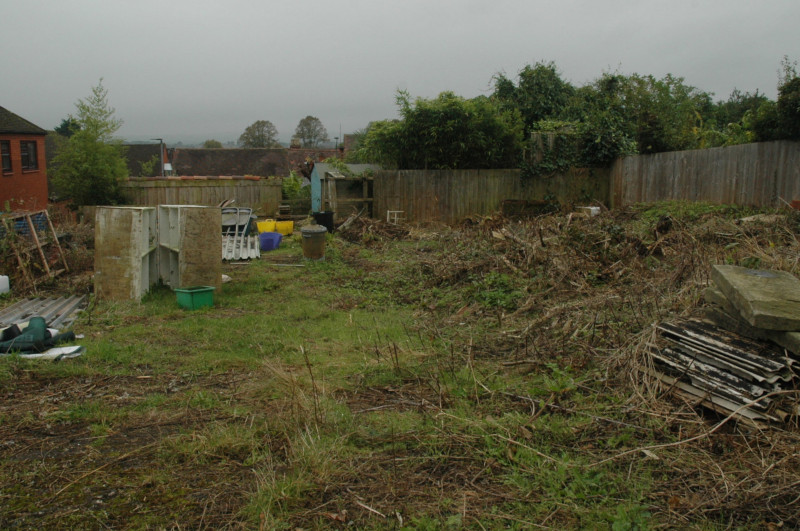 Common Garden today